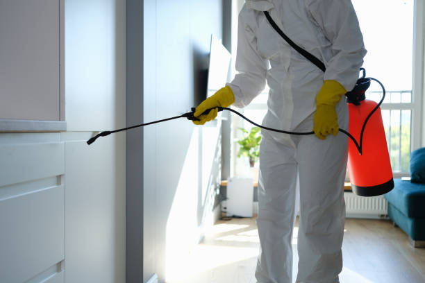 Trusted Sweet Springs, MO Mold Remediation Experts