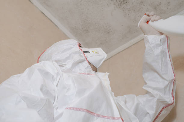 Best Residential Mold Remediation in Sweet Springs, MO