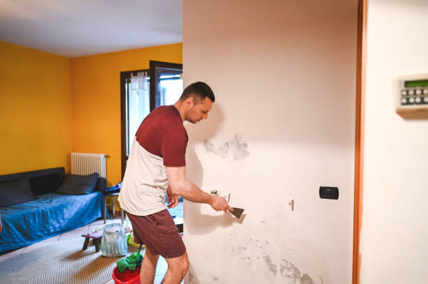 Best Industrial Mold Remediation in Sweet Springs, MO